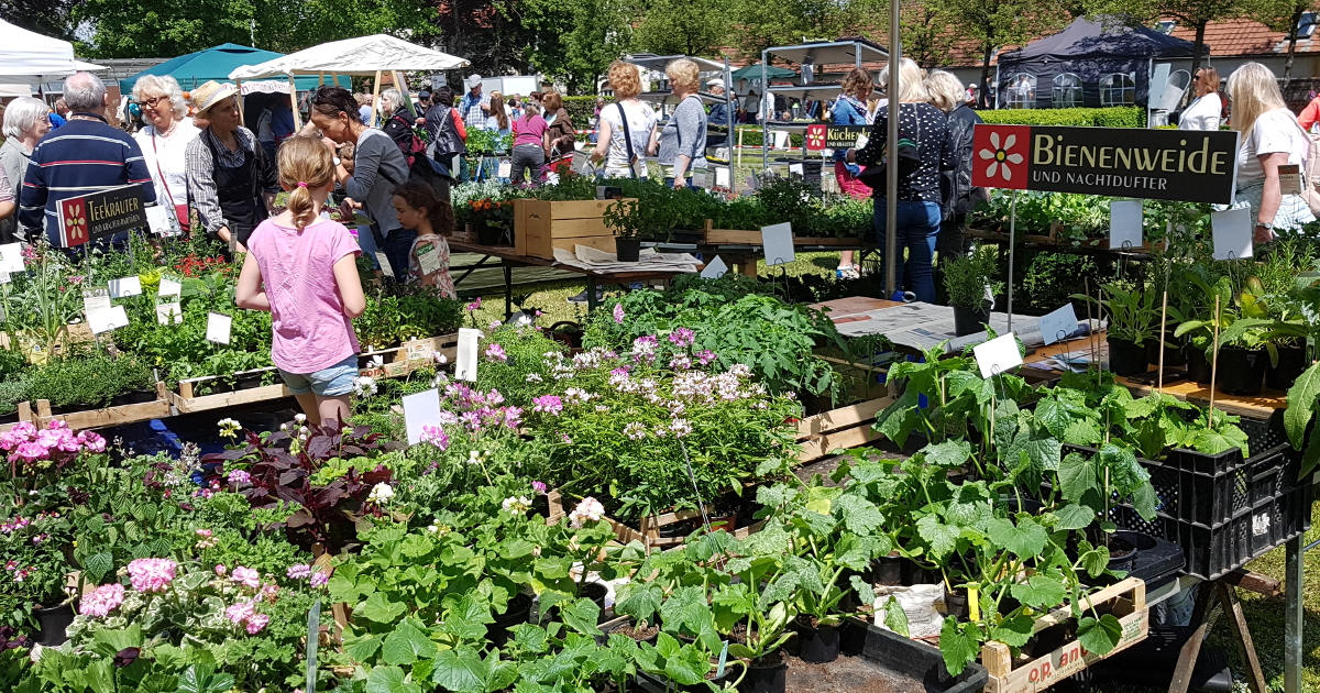 HEILPFLANZEN SCHÄNZLE HEILPFLANZEN SCHÄNZLE