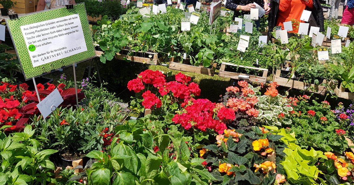 HEILPFLANZEN SCHÄNZLE - Umweltfreundlich ohne Plastik HEILPFLANZEN SCHÄNZLE - Umweltfreundlich ohne Plastik