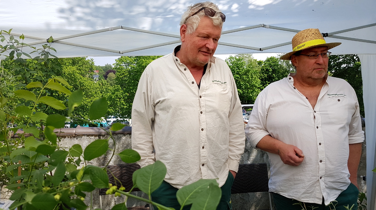 Bienenpflanzen-Gärtnerei Erolzheim Bienenpflanzen-Gärtnerei Erolzheim
