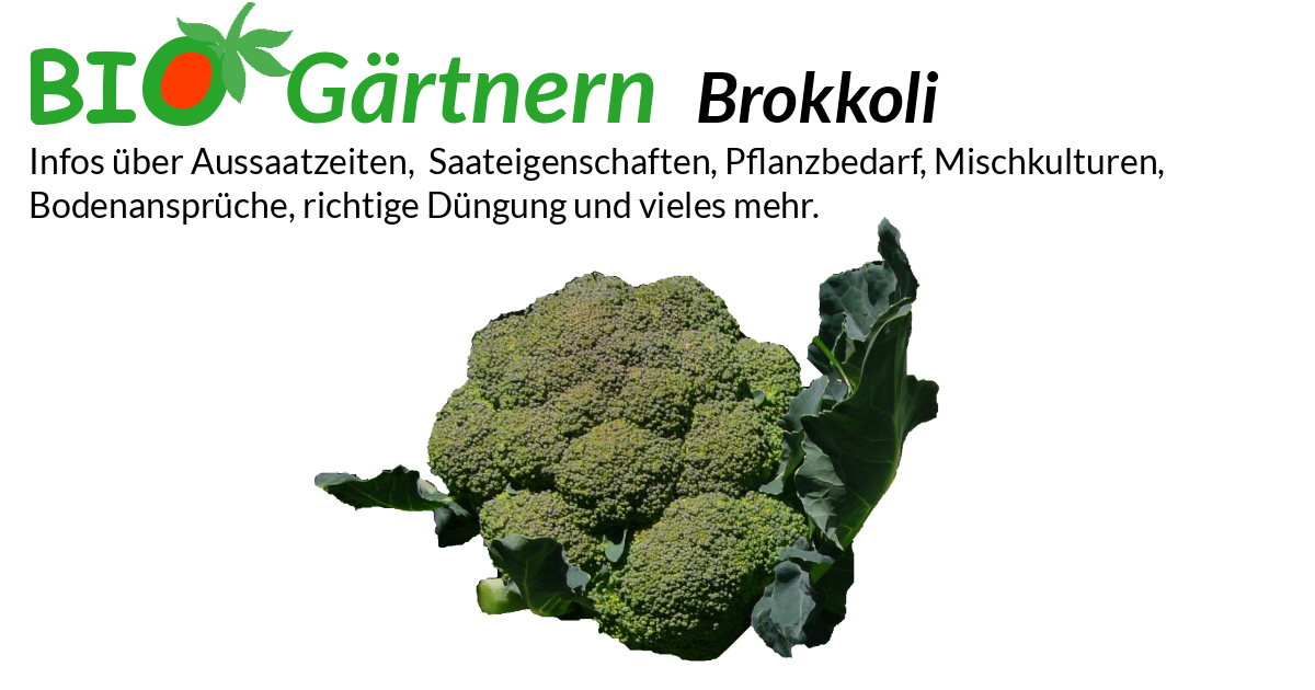 ammoniumsulfat dünger flüssig Flüssig-Dünger 500 ml main image 1