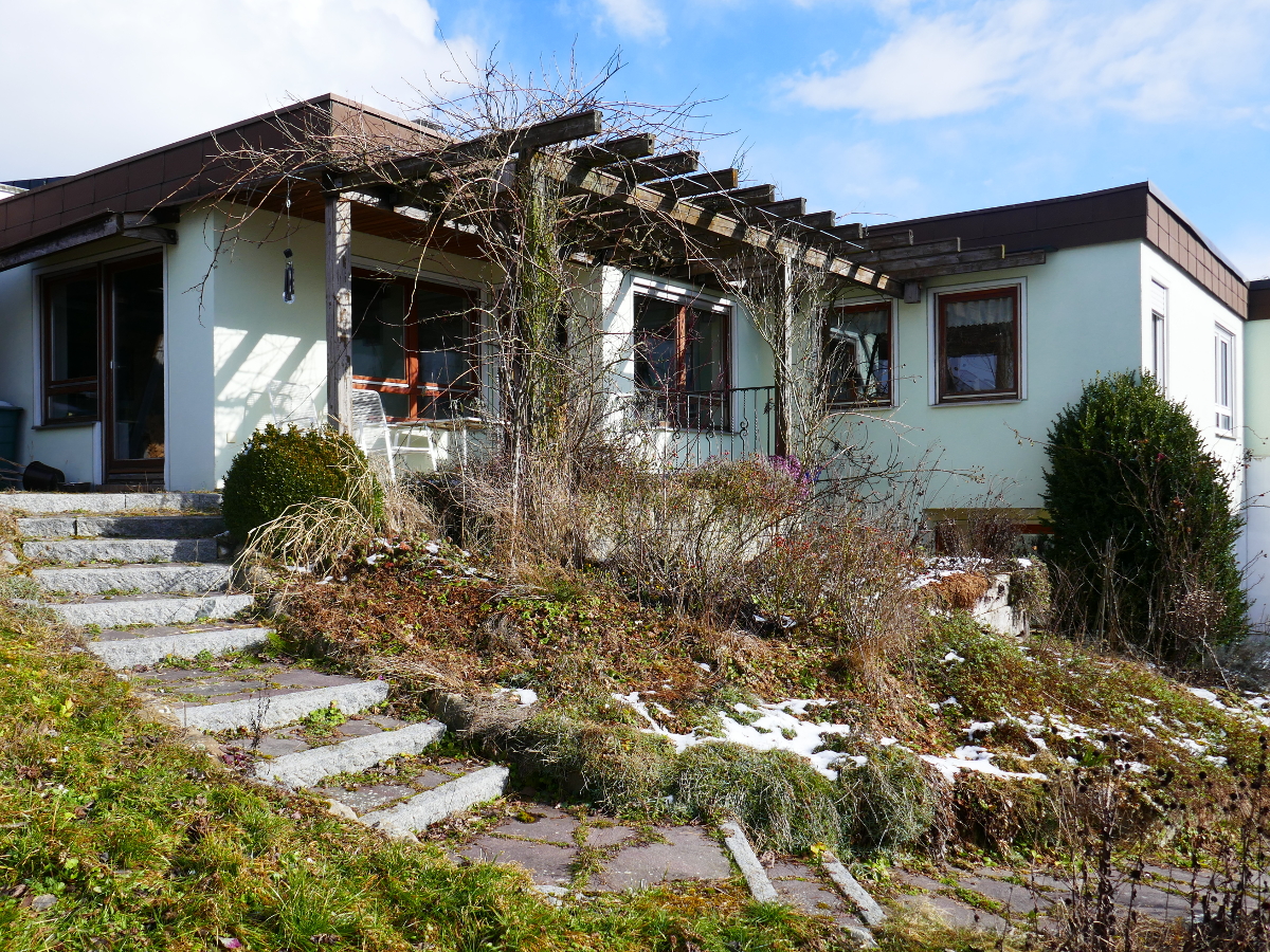 Der eingewachsene Hang im Februar Der eingewachsene Hang im Februar