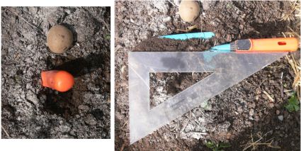 Biogarten Biogemüse Mulchgarten Kartoffeln Biogarten Biogemüse Mulchgarten Kartoffeln