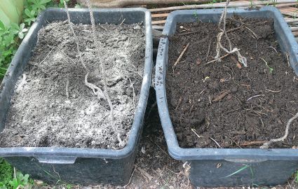 Biogarten Biogemüse Gewächshaus Kompost Biogarten Biogemüse Gewächshaus Kompost