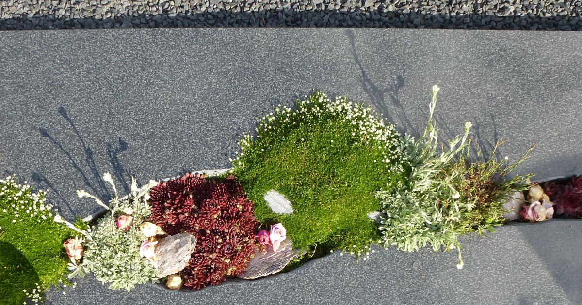 Stauden für die Grabgestaltung Stauden für die Grabgestaltung