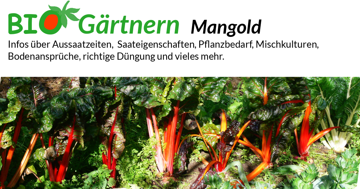 dünger küchenkräuter Kräuter Liebe – 365 Tage Bio-Dünger für Küchenkräuter main image 1
