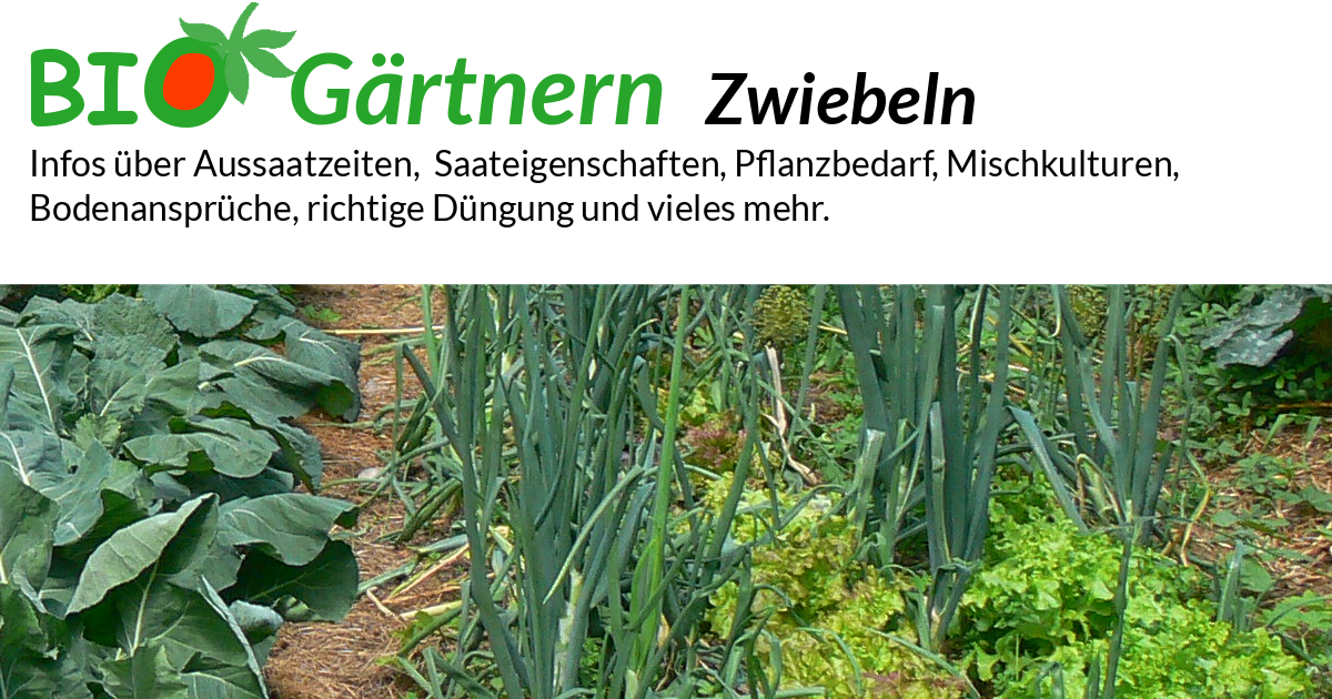palme düngen hausmittel ProviPlant Palmen-Dünger: Für Palmen und Palmenartige (Arecales)